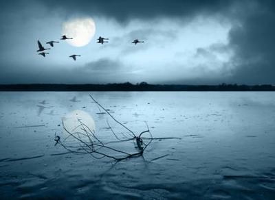 4个字古风有诗意的游戏名字,高冷的游戏个性网名