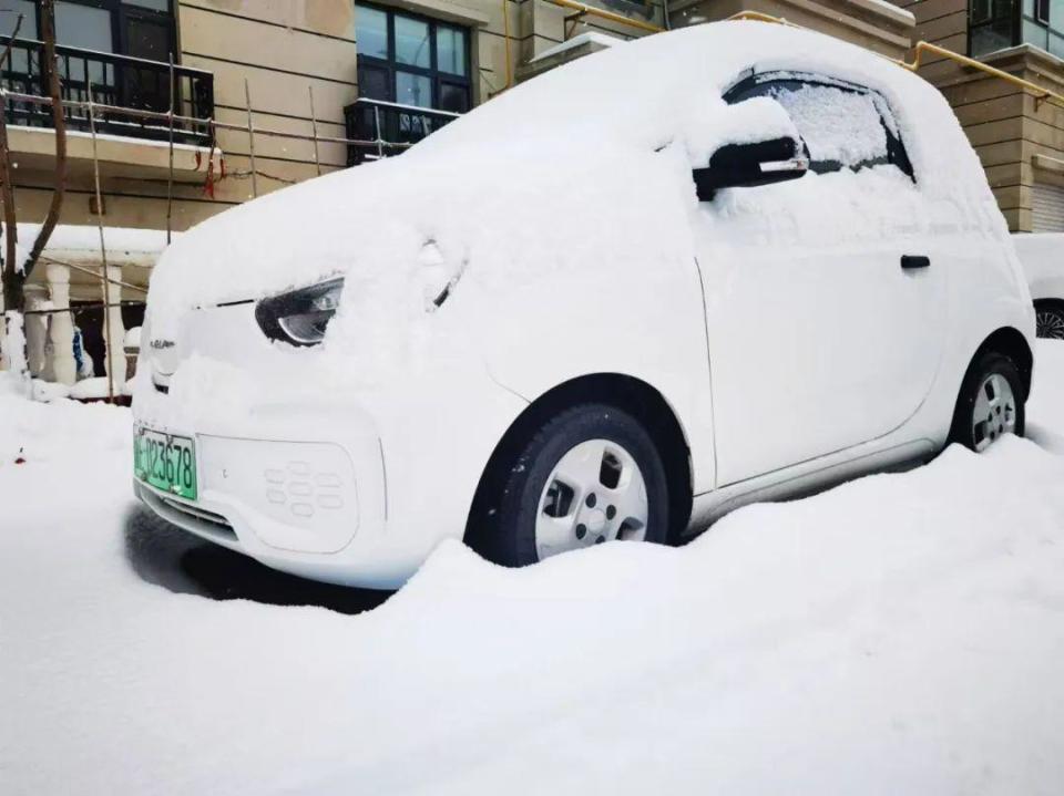 博州下雪 雪 雪 了!初雪美景上线啦~