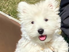 qq个性网名 个性网名大全2023最新版的 个性网名超拽 腾牛个性网